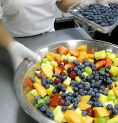 Health & Wellness